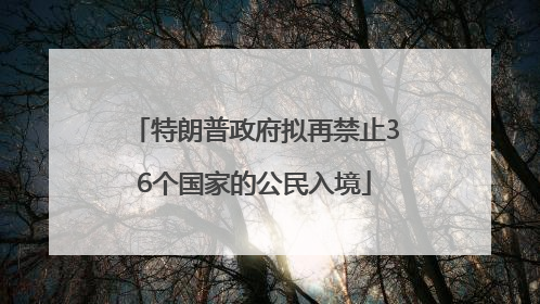 特朗普政府拟再禁止36个国家的公民入境