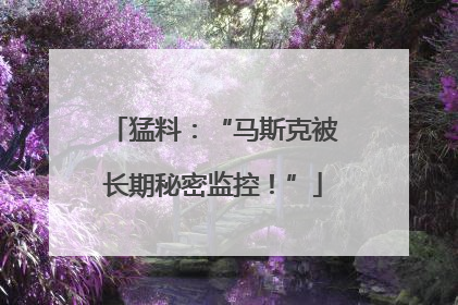 猛料：“马斯克被长期秘密监控！”