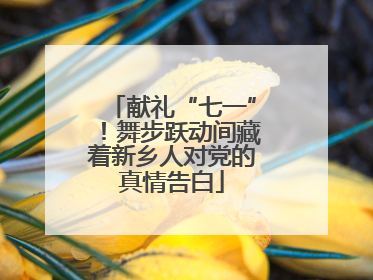 献礼“七一”！舞步跃动间藏着新乡人对党的真情告白
