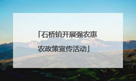 石桥镇开展强农惠农政策宣传活动