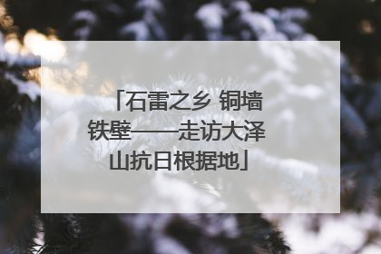 石雷之乡 铜墙铁壁——走访大泽山抗日根据地