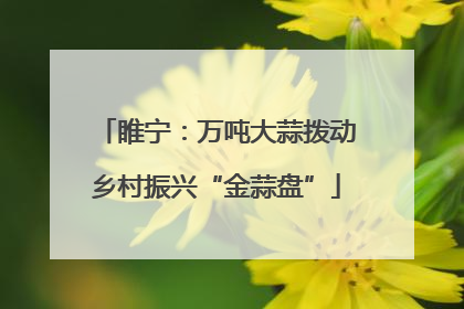 睢宁：万吨大蒜拨动乡村振兴“金蒜盘”