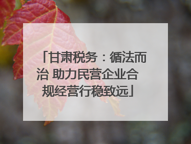 甘肃税务：循法而治 助力民营企业合规经营行稳致远