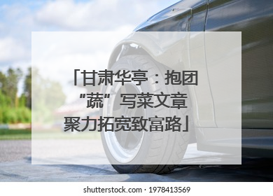 甘肃华亭：抱团“蔬”写菜文章 聚力拓宽致富路