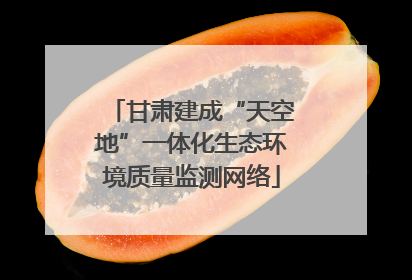 甘肃建成“天空地”一体化生态环境质量监测网络