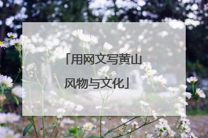 用网文写黄山风物与文化