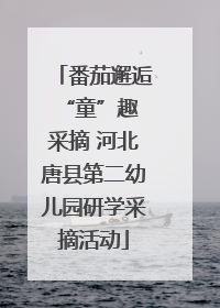 番茄邂逅 “童”趣采摘 河北唐县第二幼儿园研学采摘活动