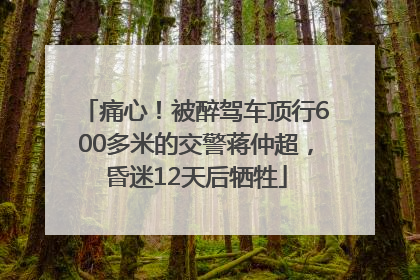 痛心！被醉驾车顶行600多米的交警蒋仲超，昏迷12天后牺牲