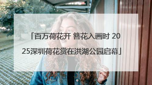 百万荷花开 簪花入画时 2025深圳荷花赏在洪湖公园启幕