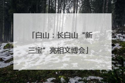 白山：长白山“新三宝”亮相文博会