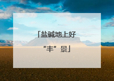 盐碱地上好“丰”景