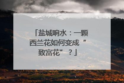 盐城响水：一颗西兰花如何变成“致富花”？