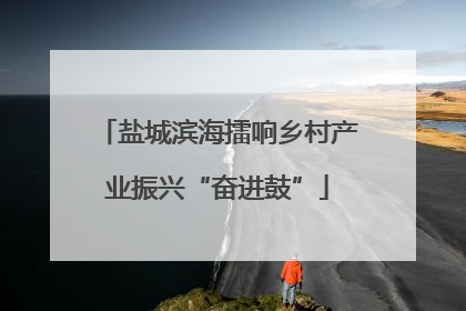 盐城滨海擂响乡村产业振兴“奋进鼓”