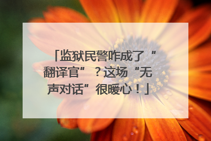 监狱民警咋成了“翻译官”？这场“无声对话”很暖心！