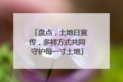 盘点，土地日宣传，多样方式共同守护每一寸土地
