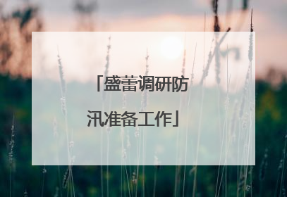 盛蕾调研防汛准备工作