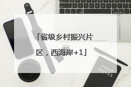 省级乡村振兴片区，西海岸+1