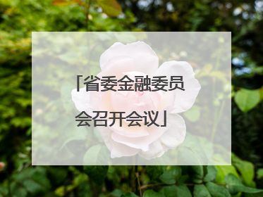 省委金融委员会召开会议