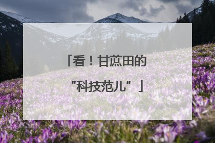 看！甘蔗田的“科技范儿”