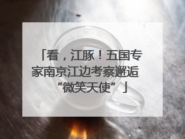 看，江豚！五国专家南京江边考察邂逅“微笑天使”