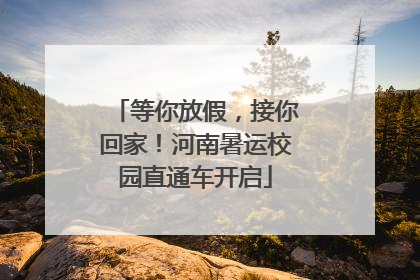 等你放假，接你回家！河南暑运校园直通车开启