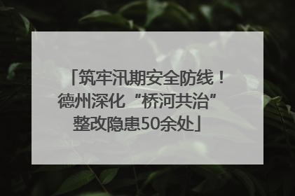 筑牢汛期安全防线！德州深化“桥河共治”整改隐患50余处