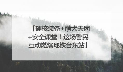 硬核装备+萌犬天团+安全课堂！这场警民互动燃爆地铁台东站