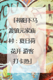 祁阳下马渡镇元家庙村：夏日荷花开 游客打卡热