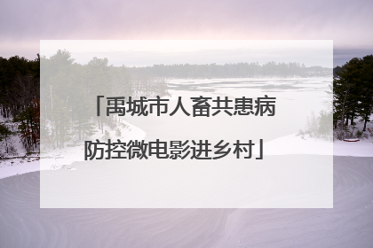 禹城市人畜共患病防控微电影进乡村