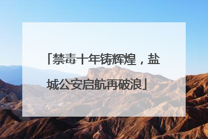 禁毒十年铸辉煌，盐城公安启航再破浪