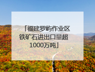 福建罗屿作业区铁矿石进出口量超1000万吨