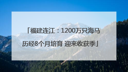 福建连江：1200万只海马历经8个月培育 迎来收获季