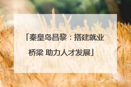 秦皇岛昌黎：搭建就业桥梁 助力人才发展