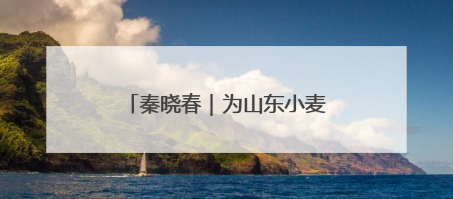 秦晓春｜为山东小麦育种安装“加速器”