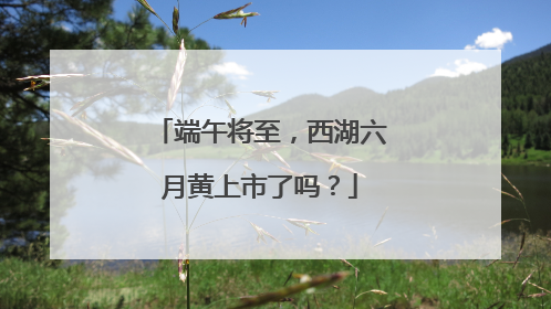 端午将至，西湖六月黄上市了吗？