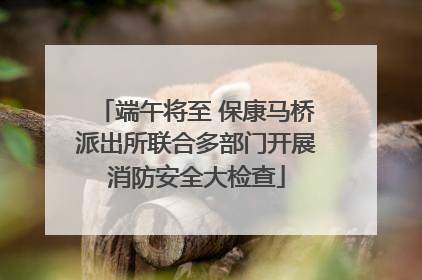 端午将至 保康马桥派出所联合多部门开展消防安全大检查
