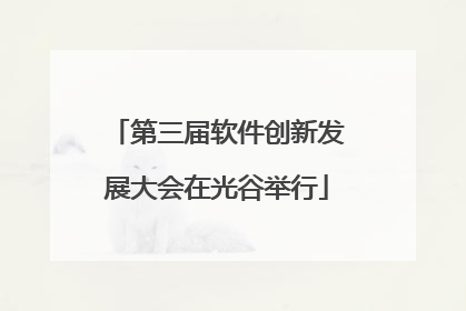 第三届软件创新发展大会在光谷举行