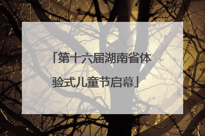 第十六届湖南省体验式儿童节启幕