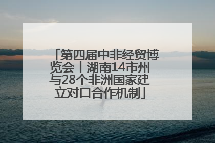 第四届中非经贸博览会丨湖南14市州与28个非洲国家建立对口合作机制