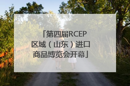 第四届RCEP区域（山东）进口商品博览会开幕