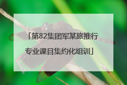 第82集团军某旅推行专业课目集约化组训