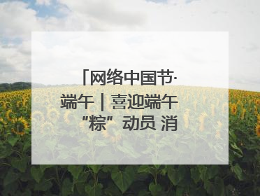 网络中国节·端午｜喜迎端午“粽”动员 消防安全记心中