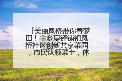 美丽凤桥带你寻梦田！宁乡夏铎铺镇凤桥社区创新共享菜园，市民认领菜土，体验耕种收获乐趣