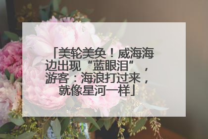 美轮美奂！威海海边出现“蓝眼泪”，游客：海浪打过来，就像星河一样