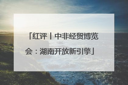 红评丨中非经贸博览会：湖南开放新引擎