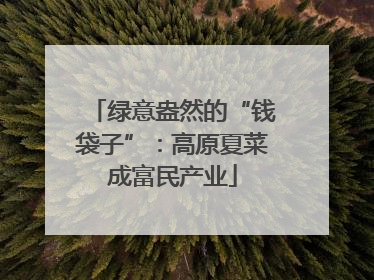 绿意盎然的“钱袋子”：高原夏菜成富民产业