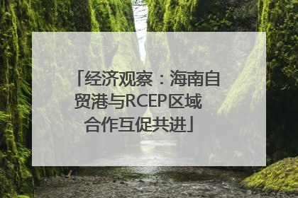 经济观察：海南自贸港与RCEP区域合作互促共进