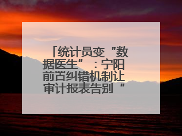 统计员变“数据医生”：宁阳前置纠错机制让审计报表告别“带病上岗”