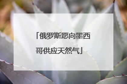 俄罗斯愿向墨西哥供应天然气