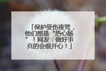 保护受伤夜鹭，他们都是“热心肠”！网友：做好事真的会很开心！